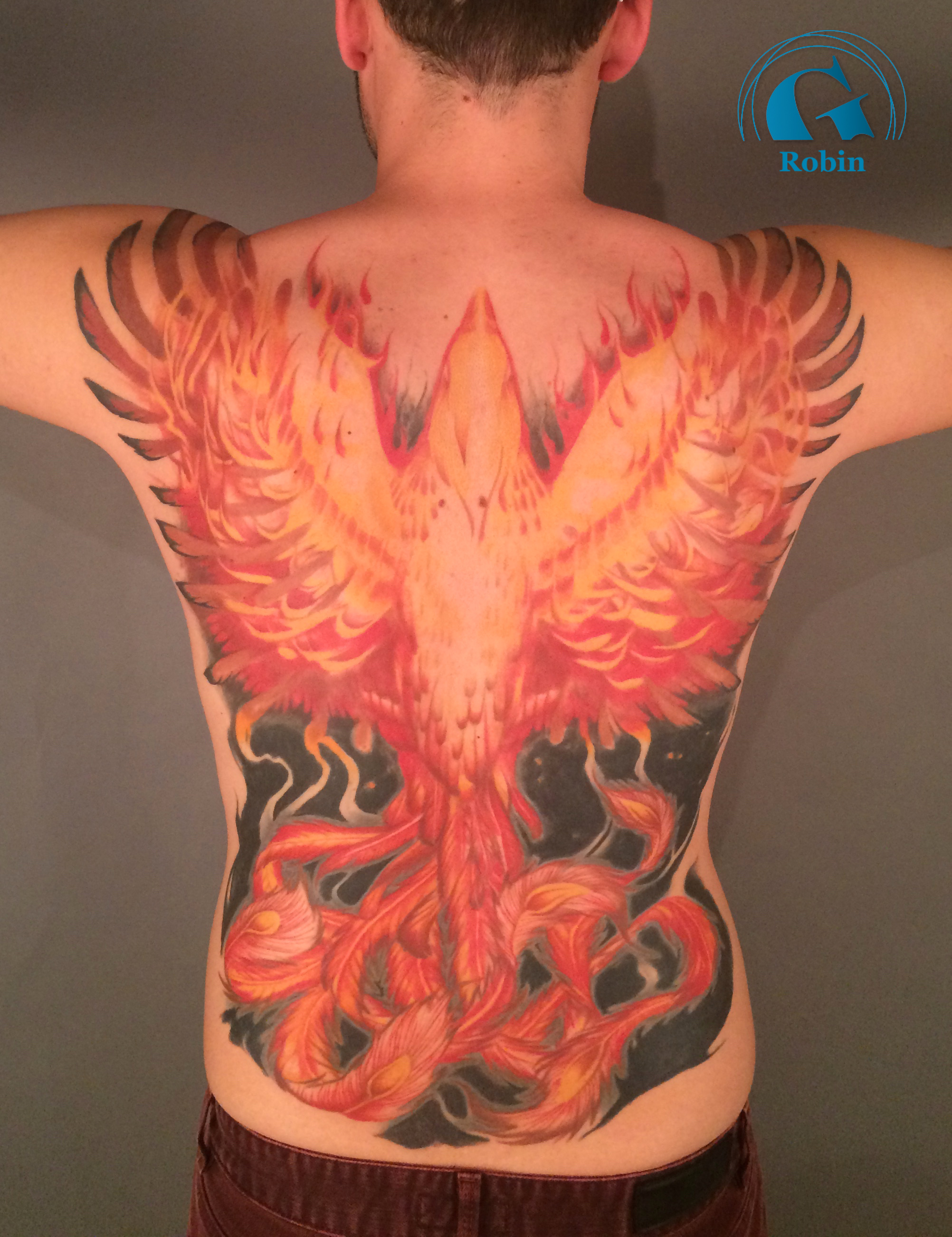 e phoenix avignon