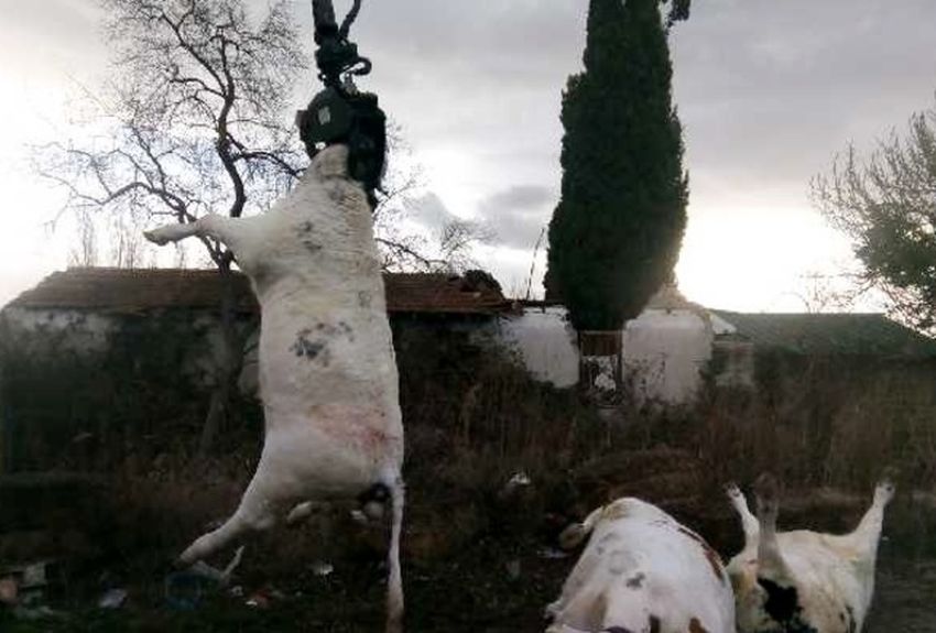 equarrissage vaucluse