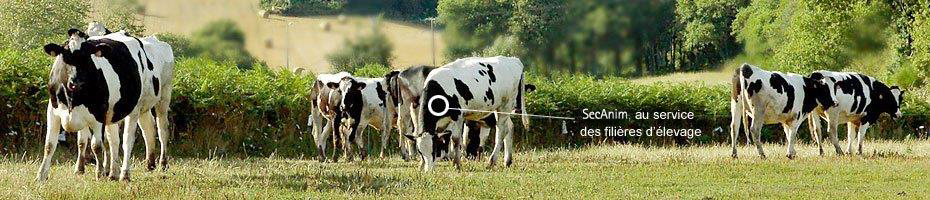 equarrissage vaucluse