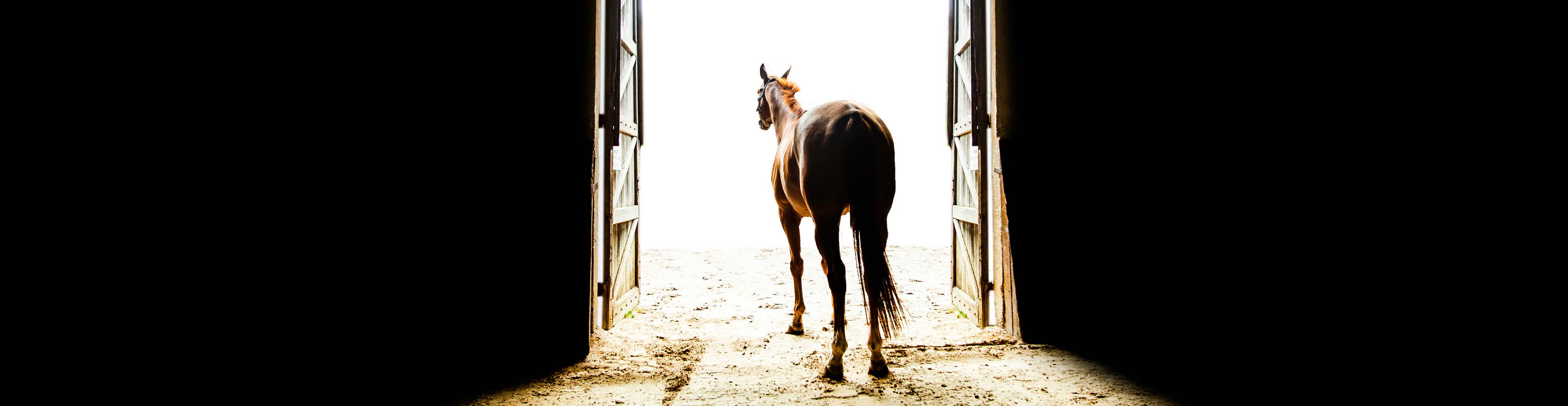 equarrissage vaucluse