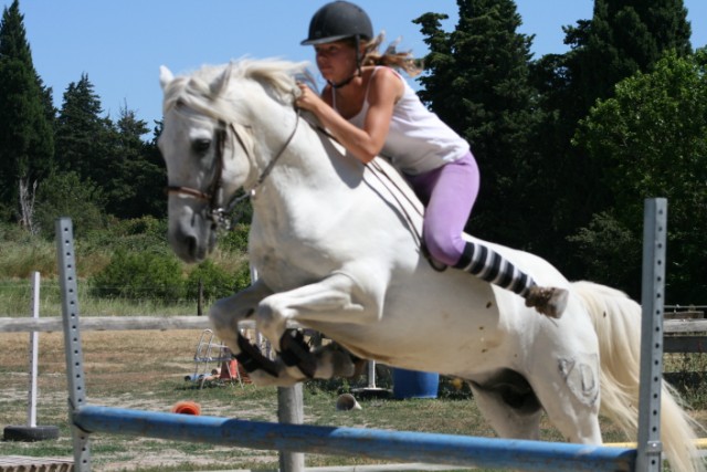 equitation vaucluse