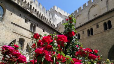 france 3 vaucluse avignon