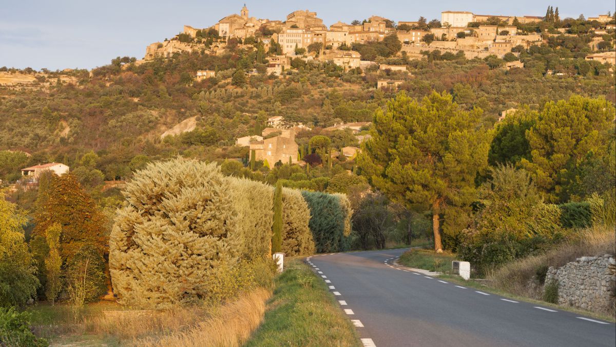 france 3 vaucluse info