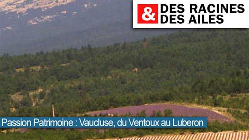 france 3 vaucluse replay