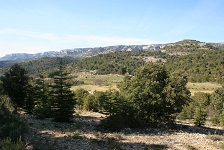 gr6 vaucluse