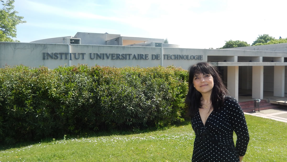 i.u.t avignon