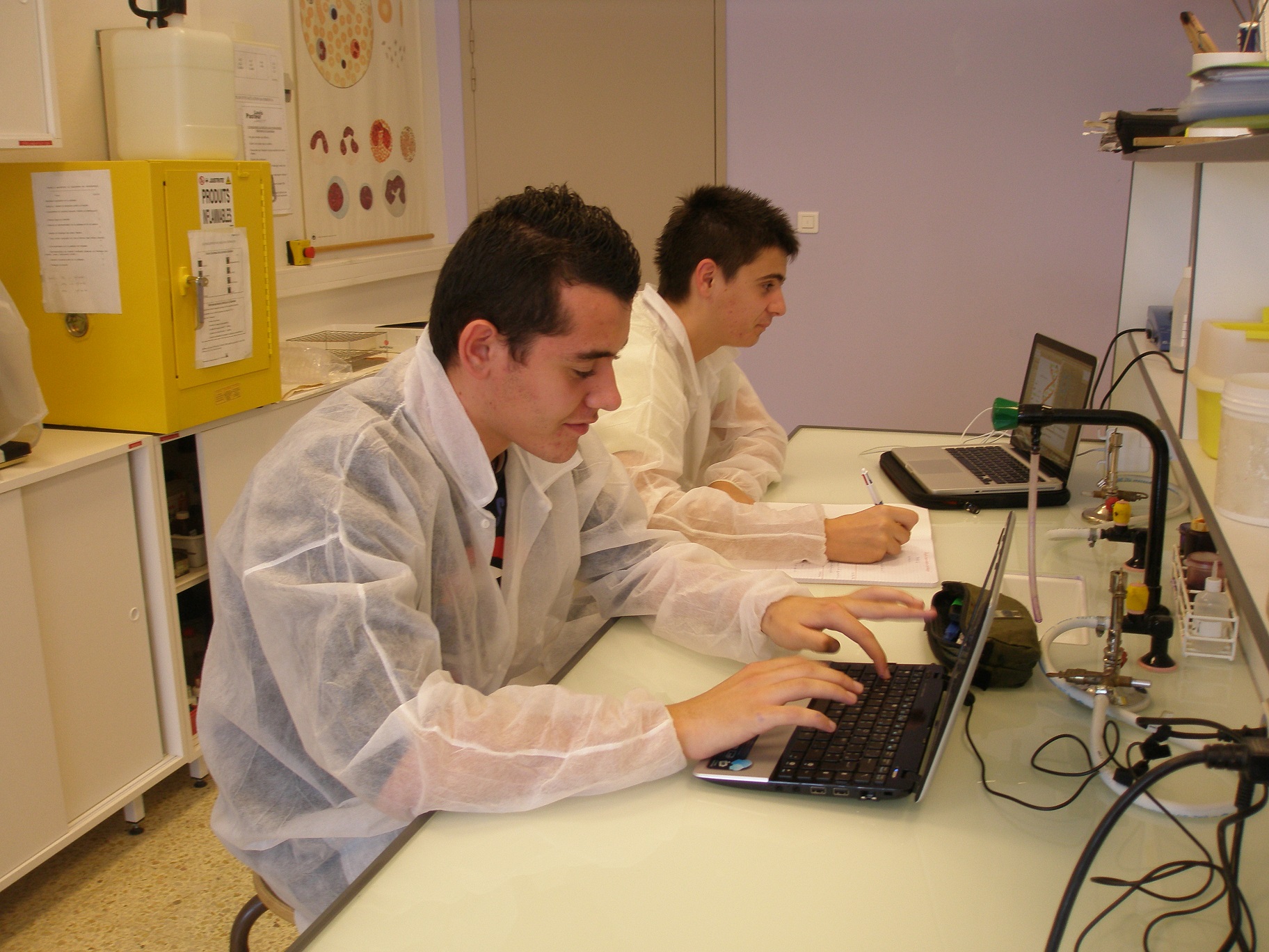 internat 5eme vaucluse