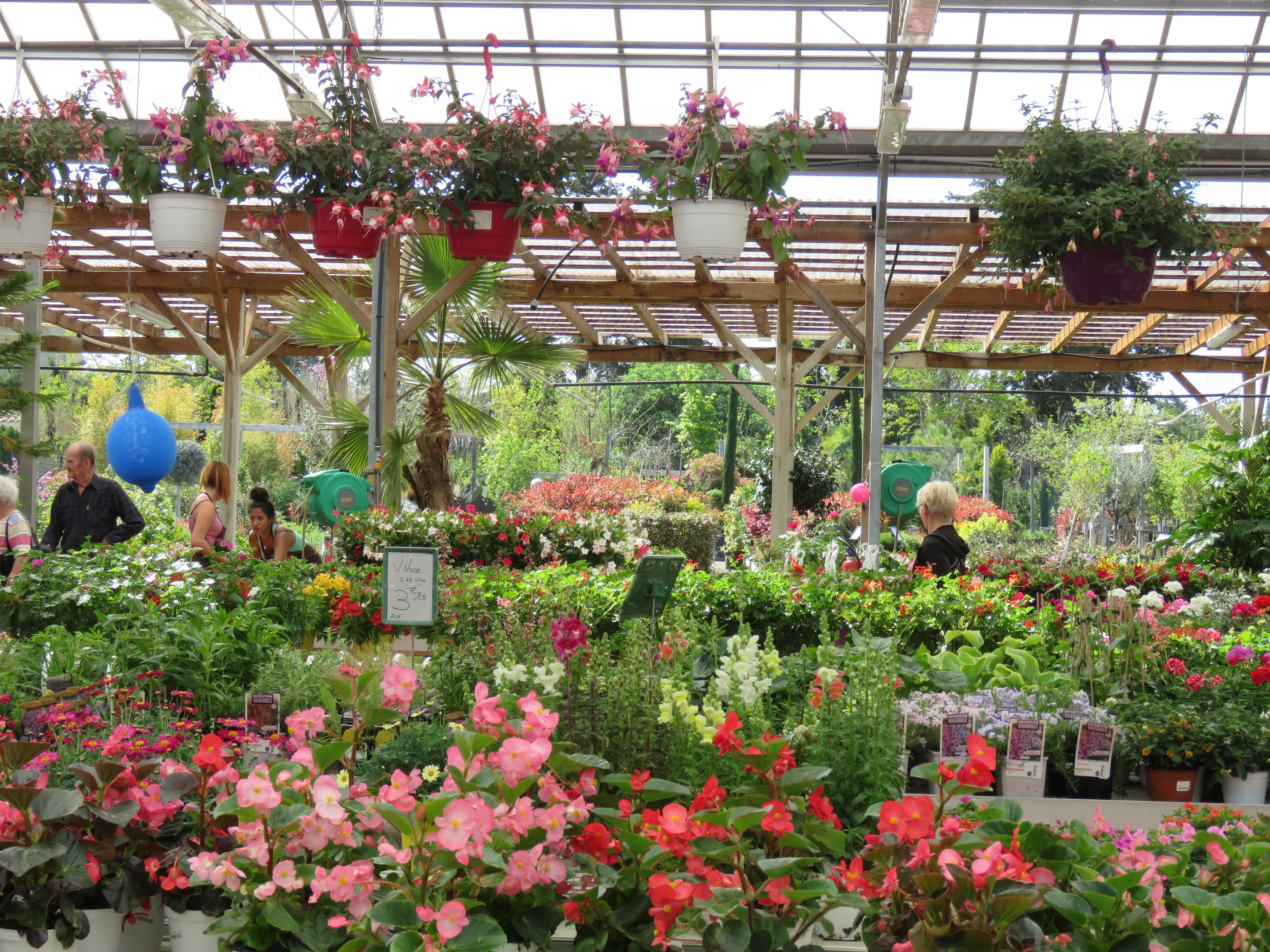 jardinerie vaucluse 84