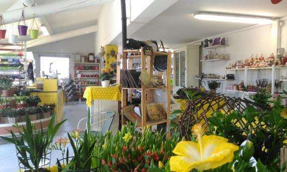 jardinerie vaucluse 84