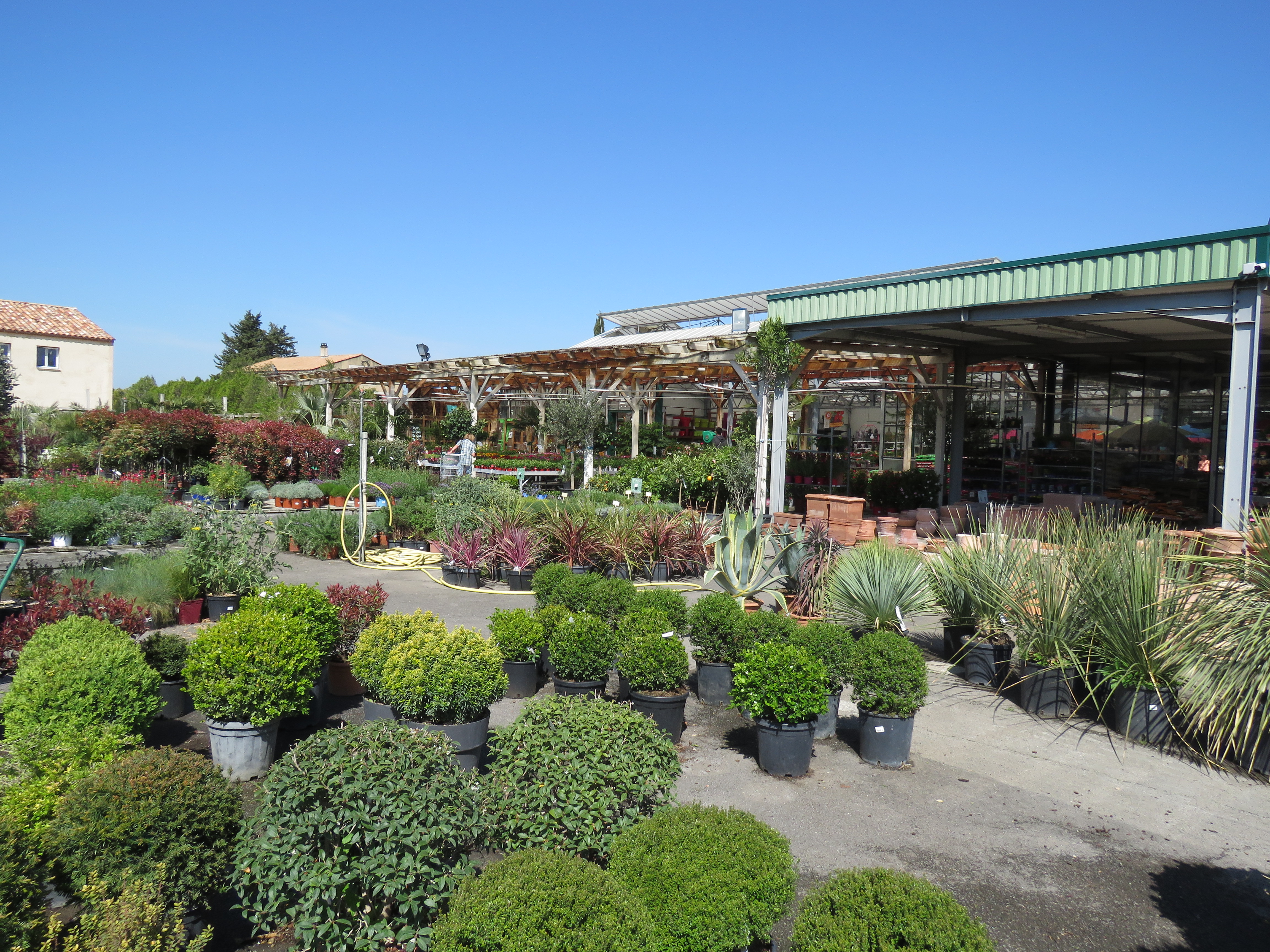 jardinerie vaucluse 84