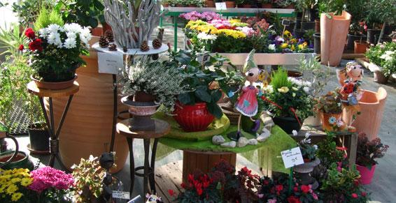 jardinerie vaucluse 84