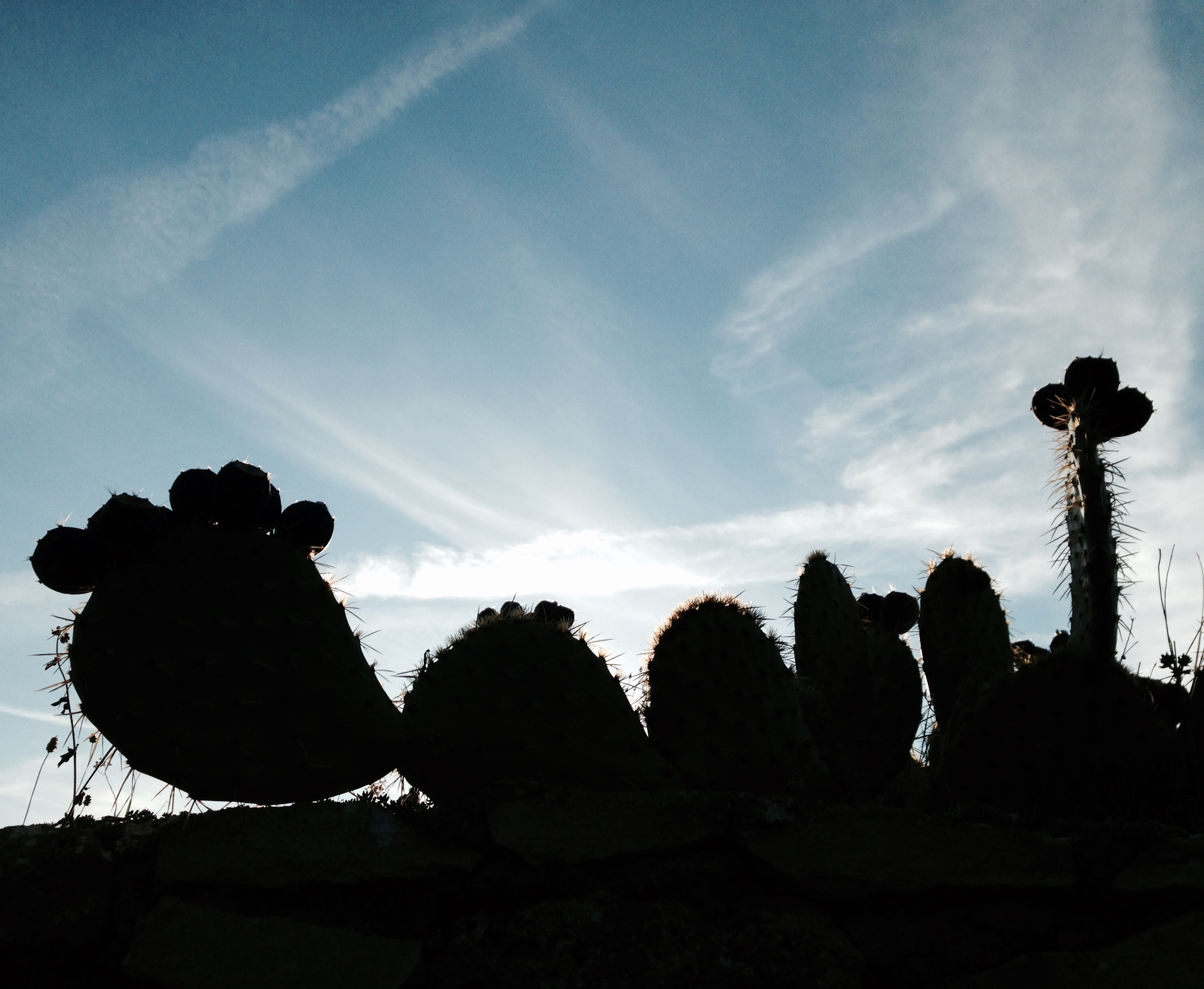 jour j vaucluse