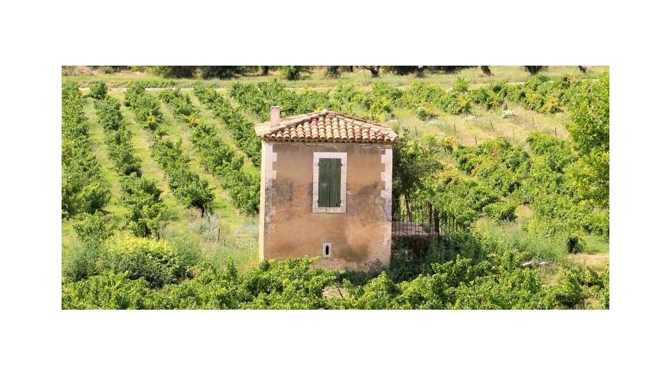 l'adt vaucluse tourisme