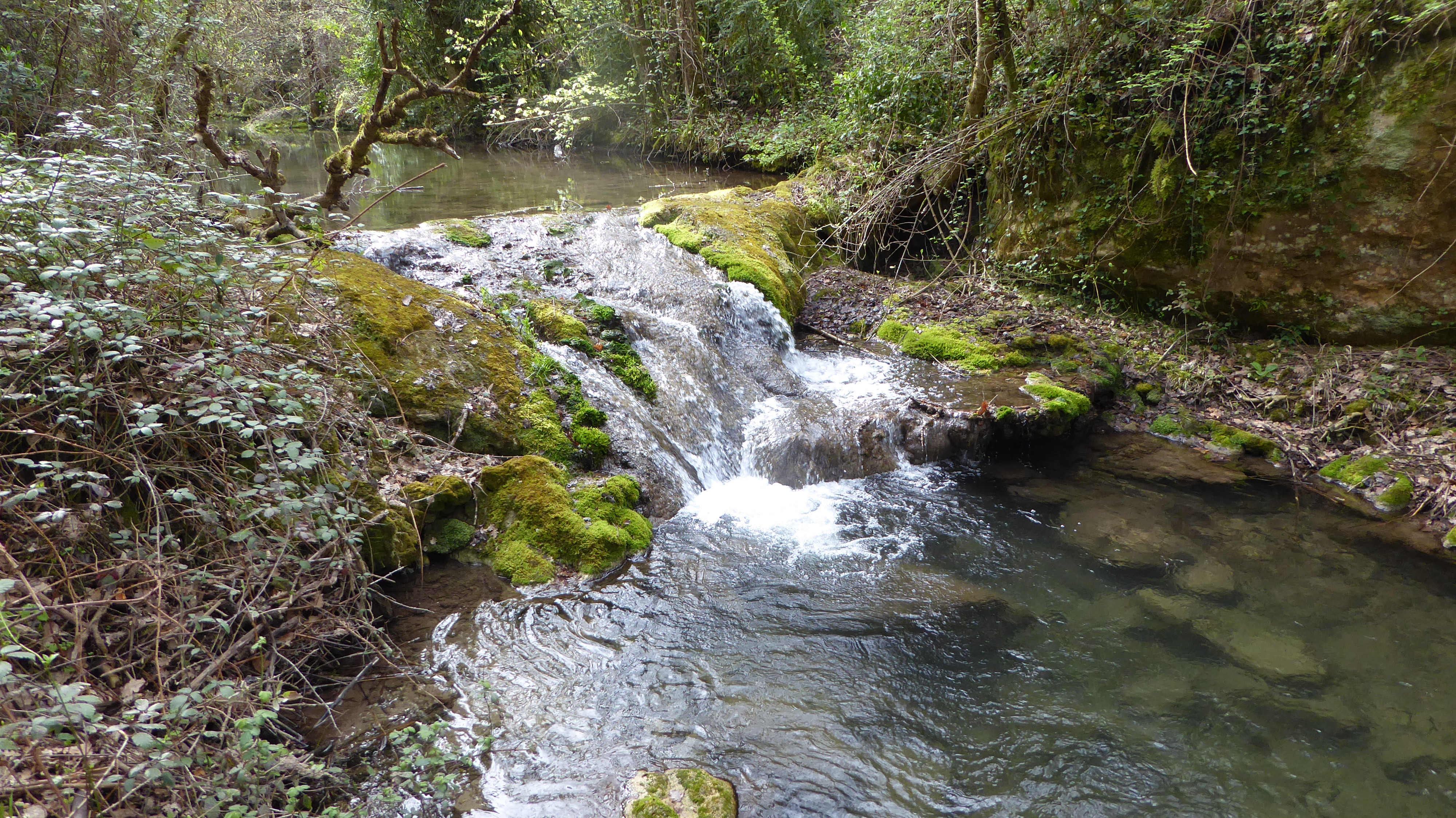 l'aiguebrun vaucluse