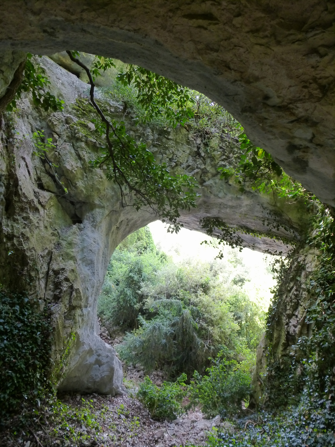 l'arche vaucluse