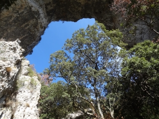 l'arche vaucluse