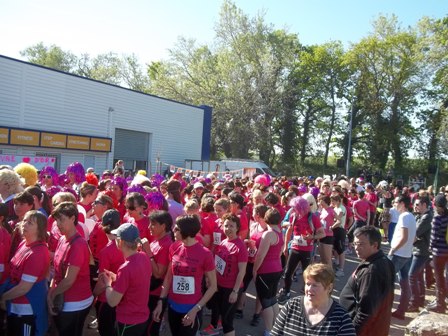 l&rsquo;avignonnaise 2014