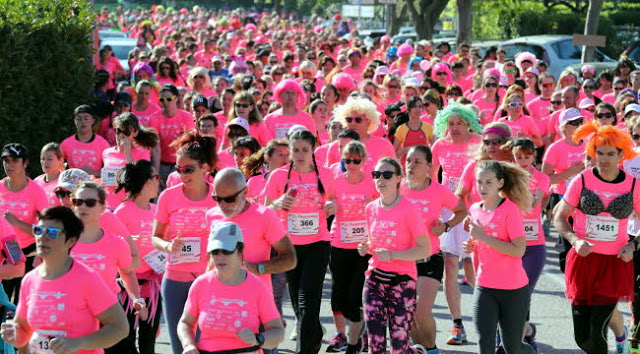 l'avignonnaise resultats