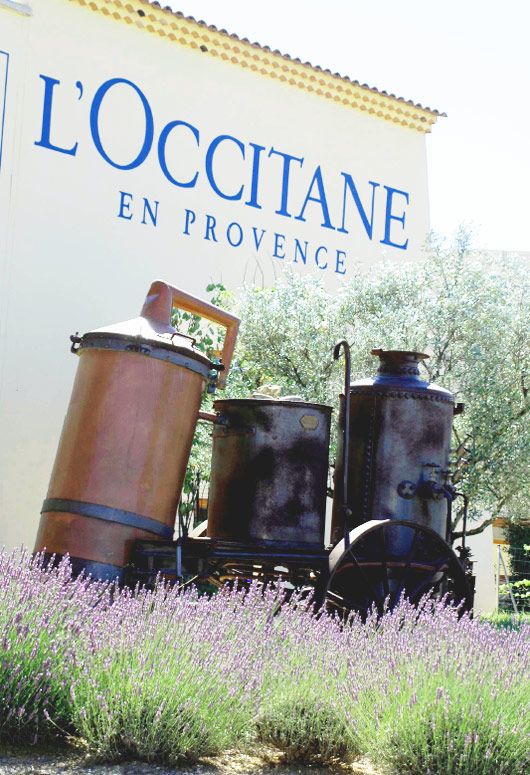 l&rsquo;occitane vaucluse