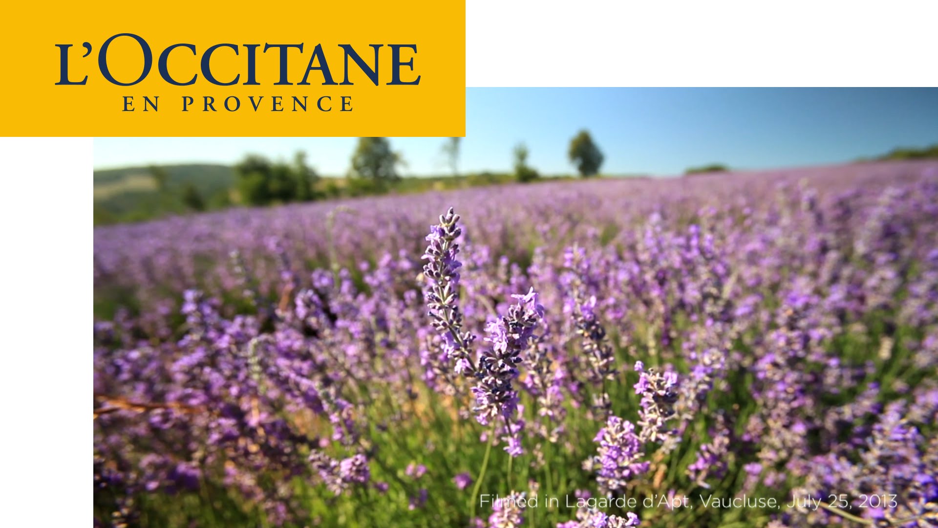 l'occitane vaucluse