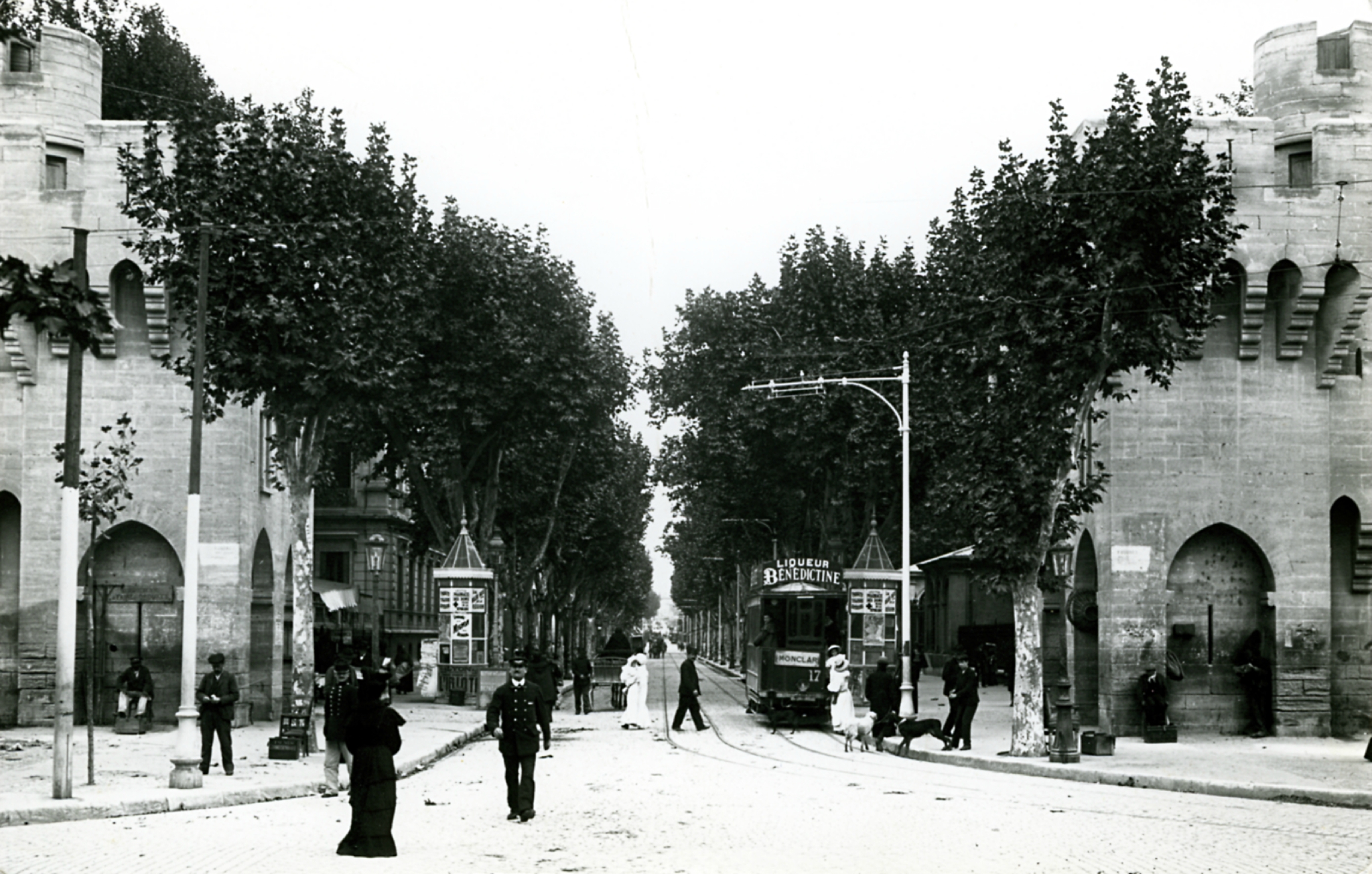 ligne 6 avignon l'isle sur la sorgue 2016