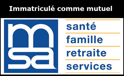m s a vaucluse