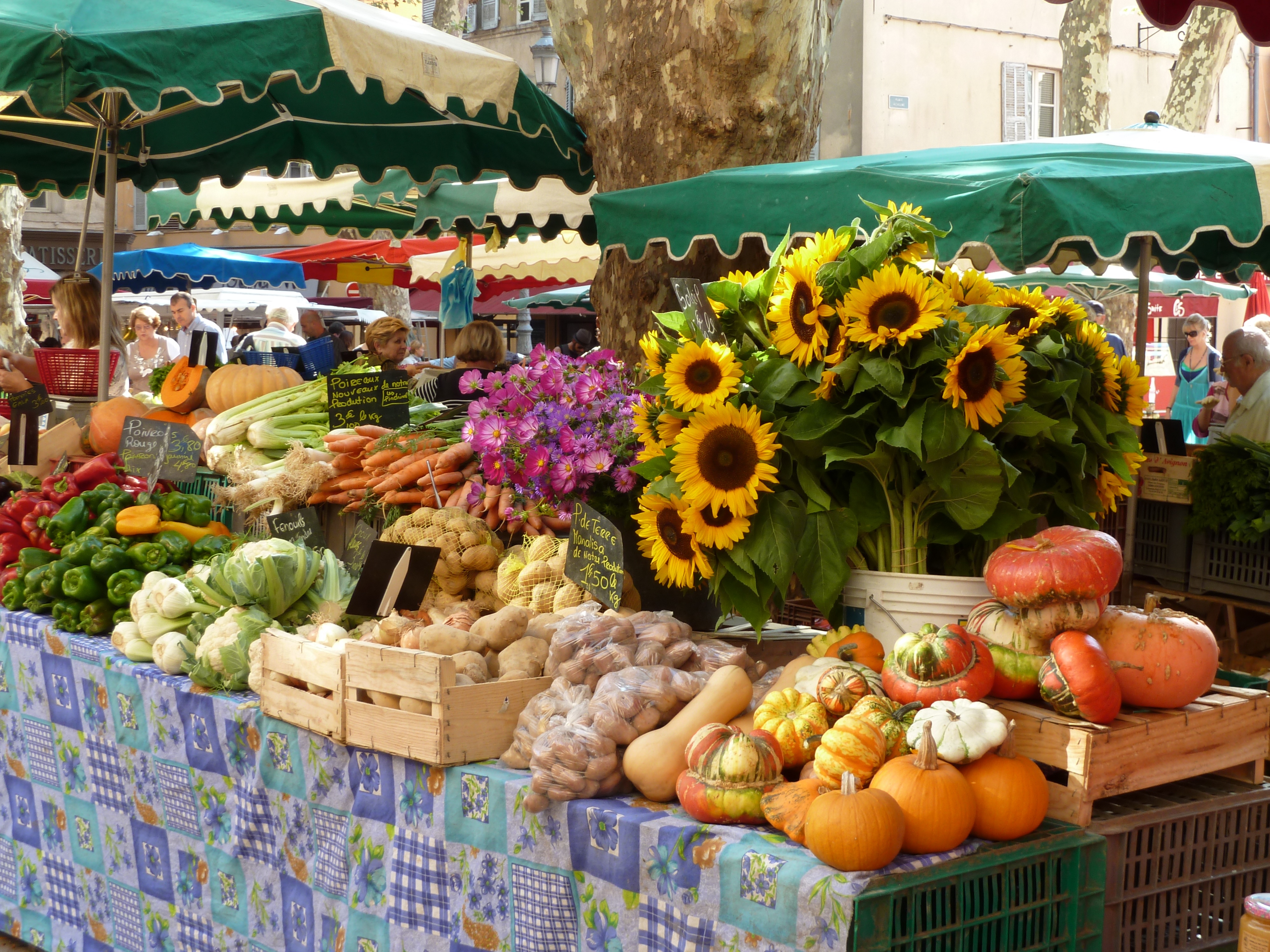 marche a avignon