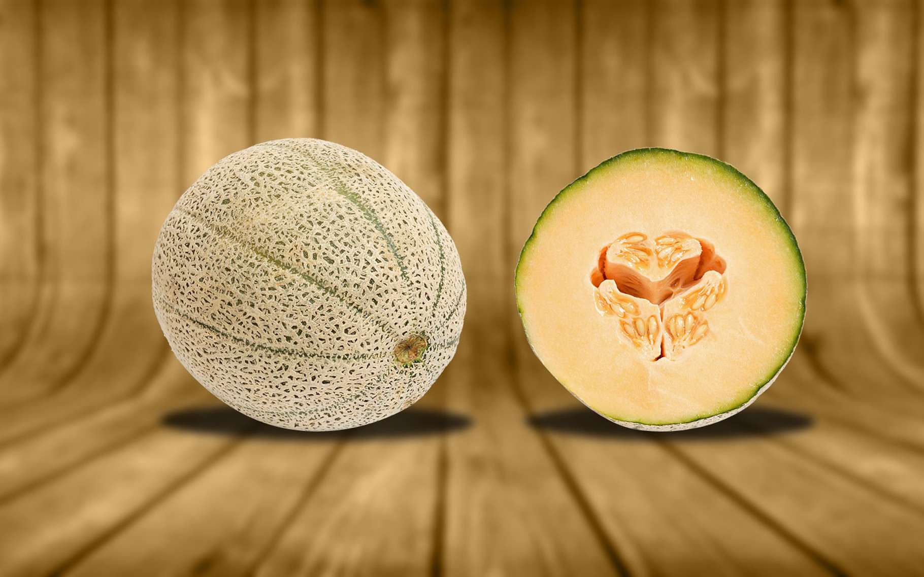 melon du vaucluse 9 lettres