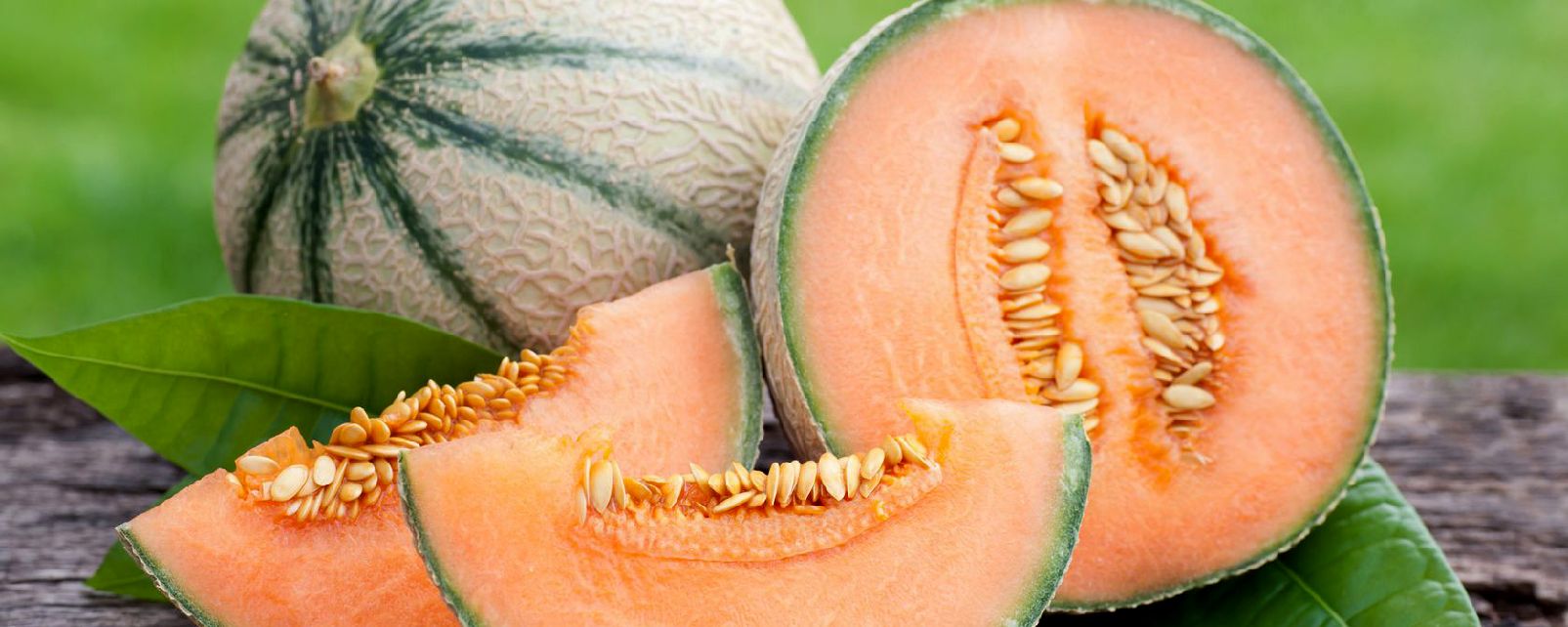 melon du vaucluse 9 lettres