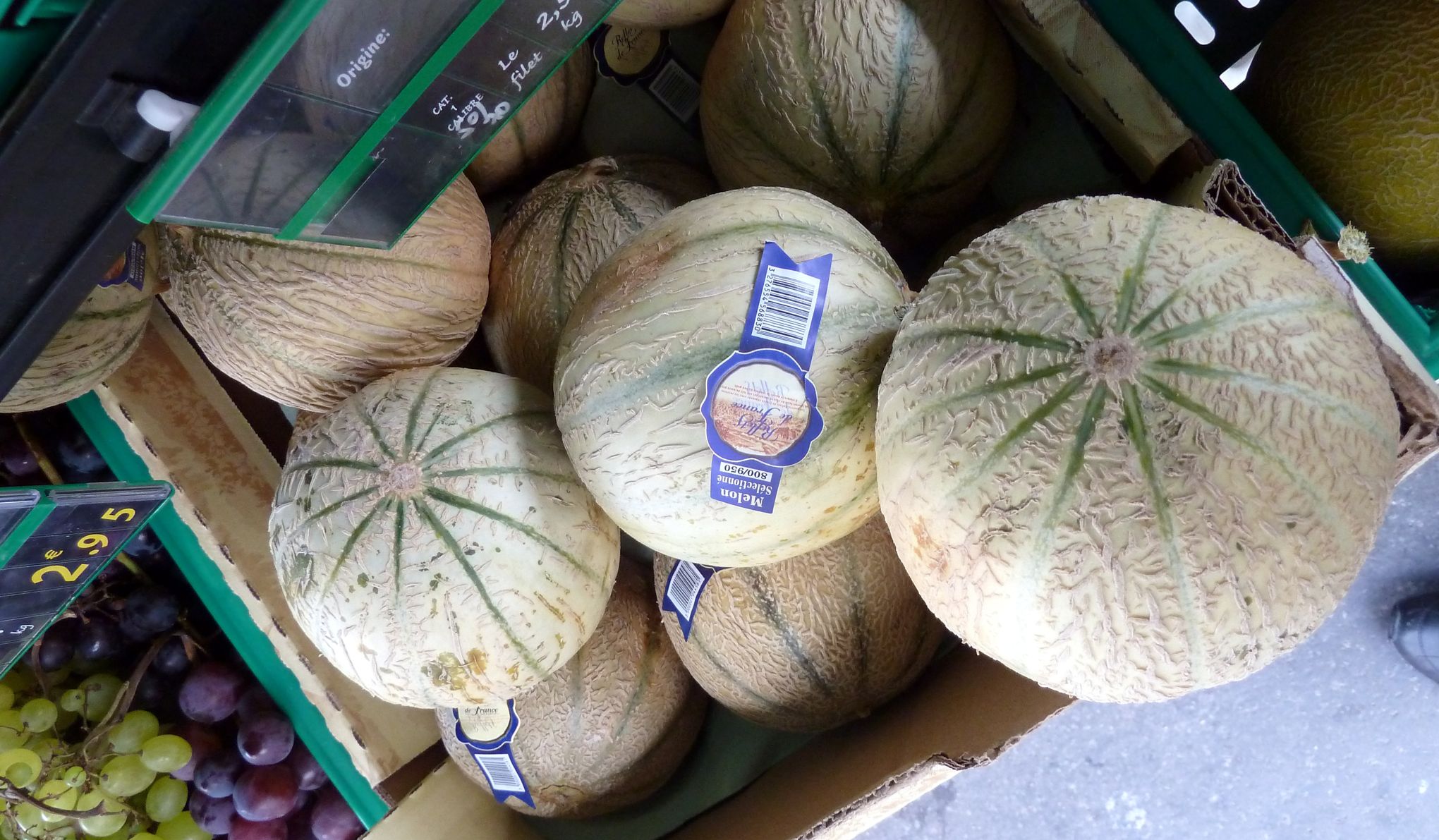 melon du vaucluse 9 lettres