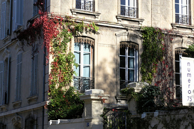 n 75 avignon