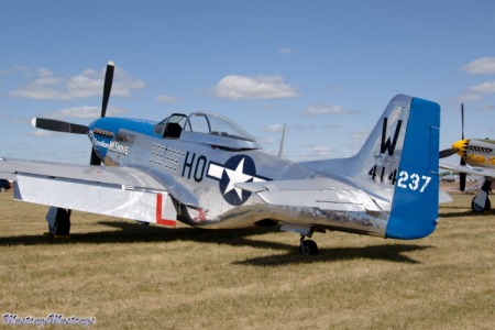 p-51 avignon