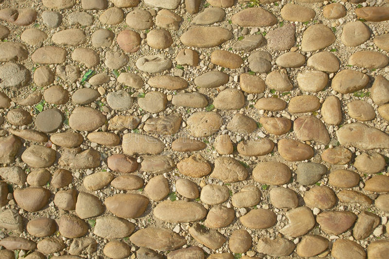 pave i avignon