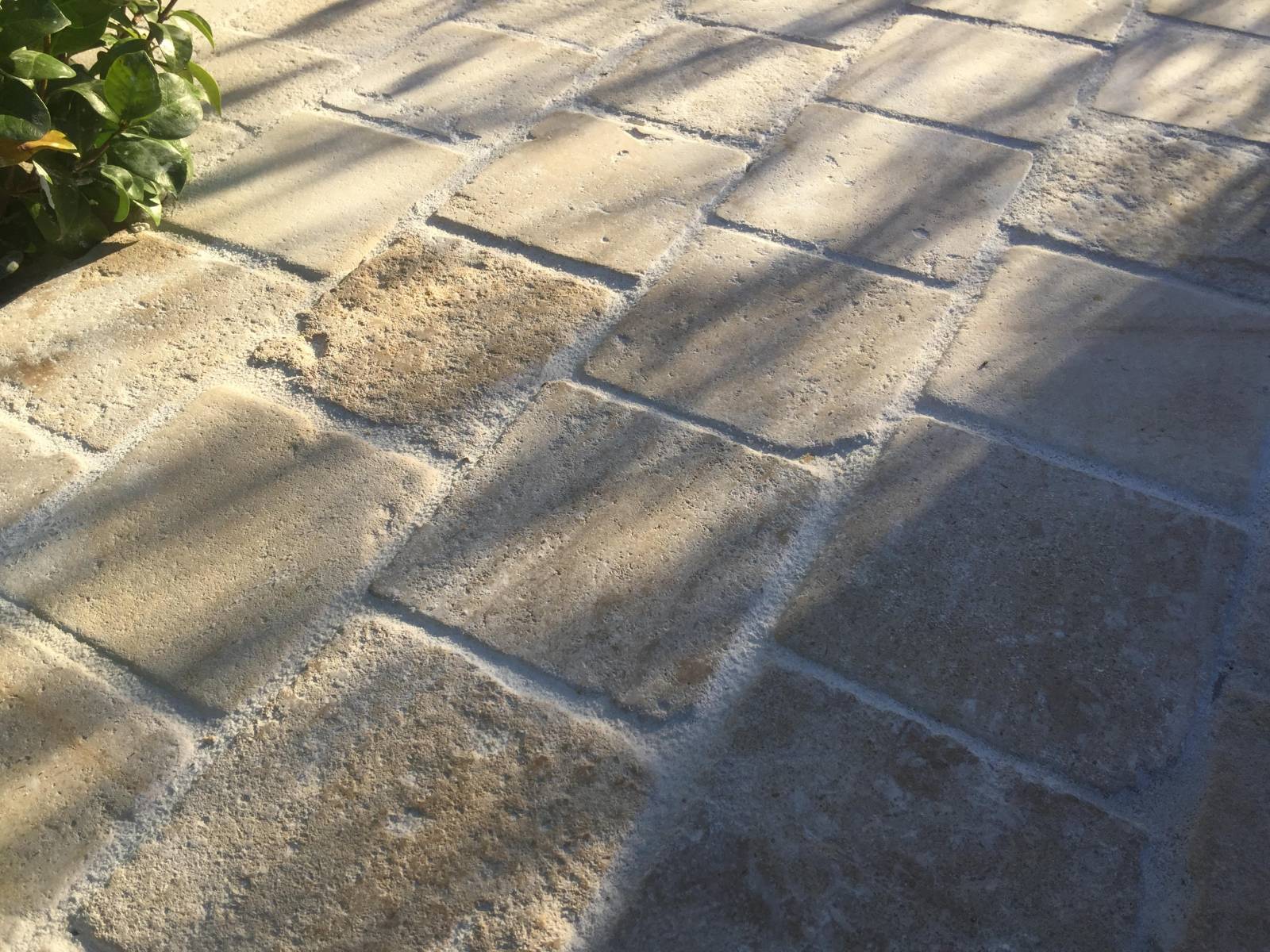 pave i avignon