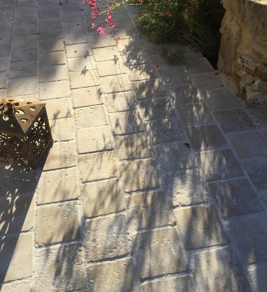 pave i avignon