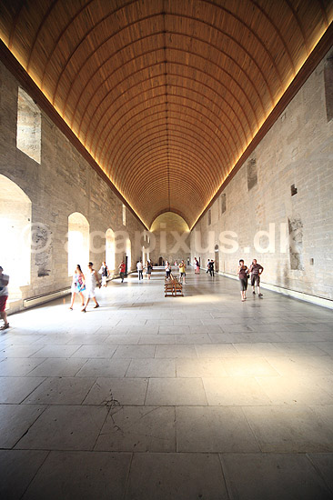 pavepaladset i avignon