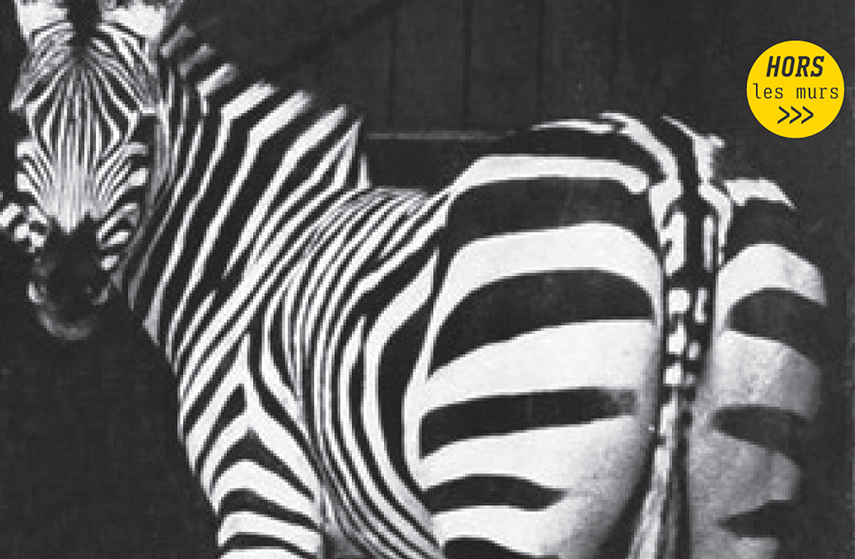 pub z avignon france