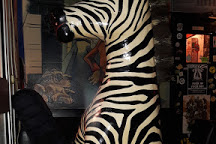 pub z avignon france