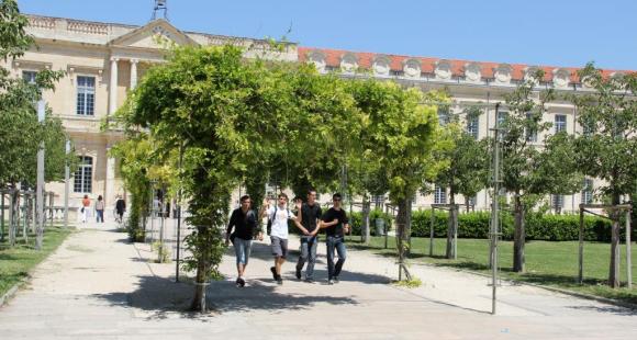 universite avignon