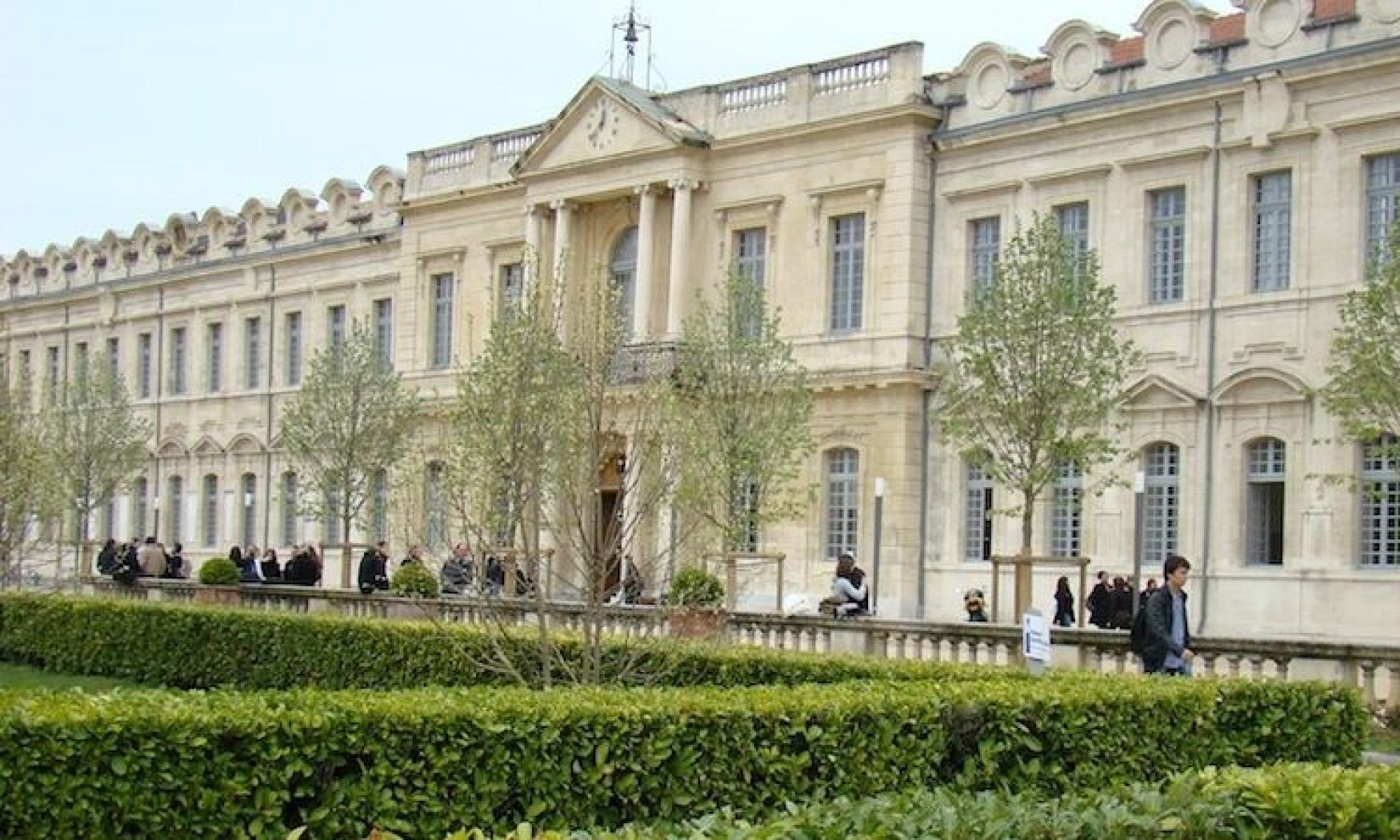 universite avignon
