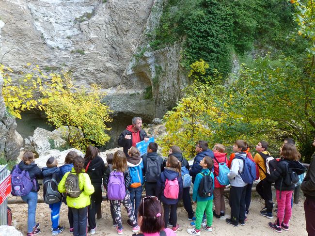 vaucluse 11 novembre 2015