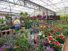 vaucluse 84 jardineries et vegetaux