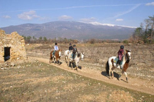 vaucluse a cheval