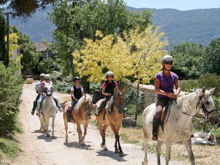 vaucluse a cheval