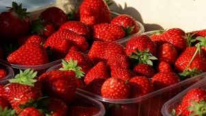 vaucluse a la fraise
