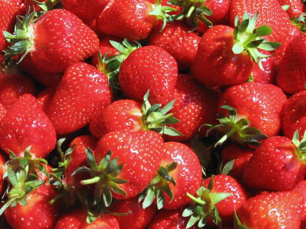vaucluse a la fraise