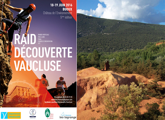 vaucluse actu