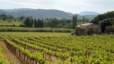 vaucluse actualite