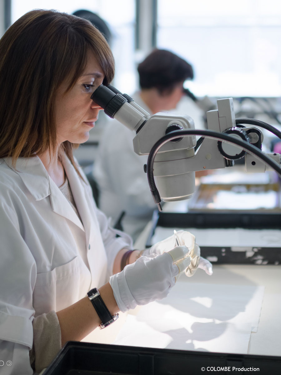 vaucluse attractivite