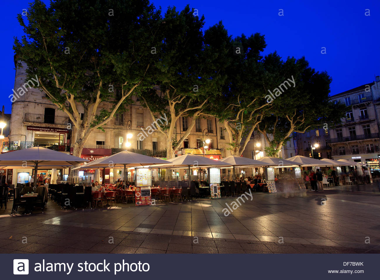 vaucluse avignon